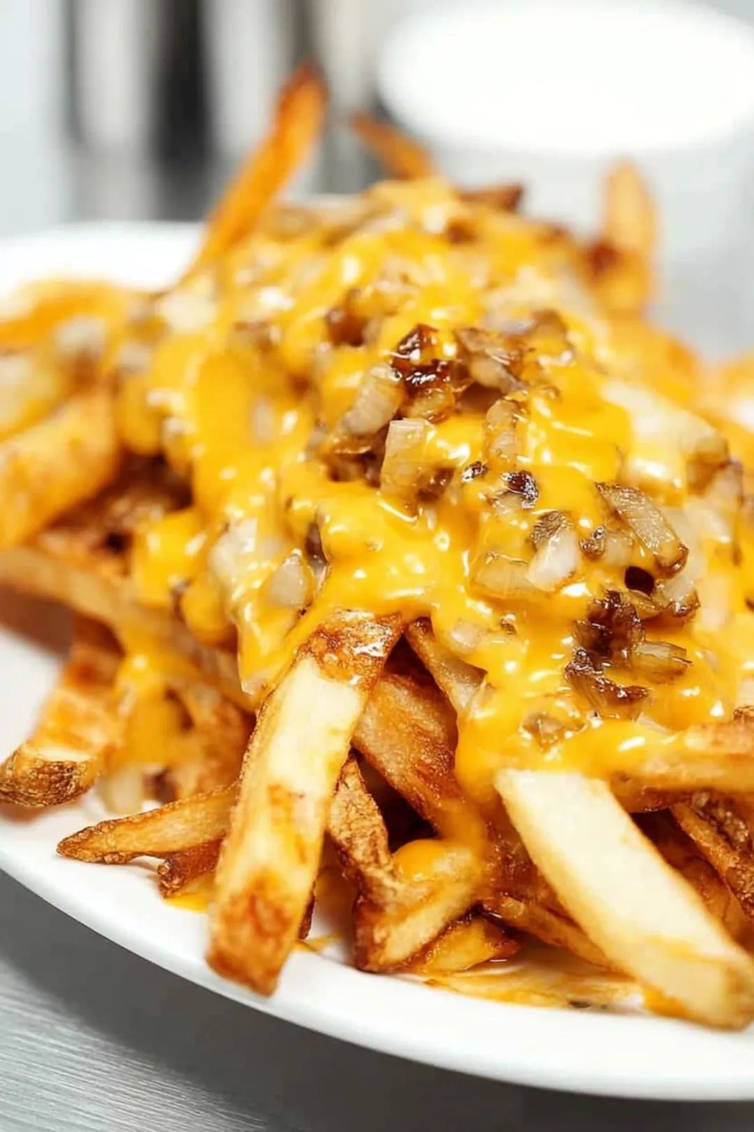 Animal style fries air fryer