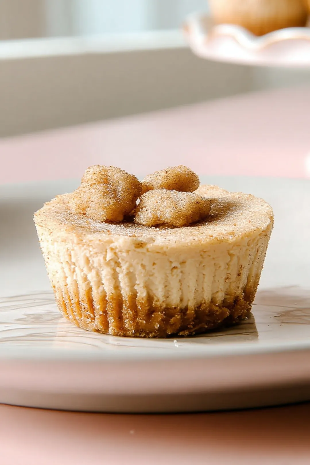 Air fryer churro cheesecake bites