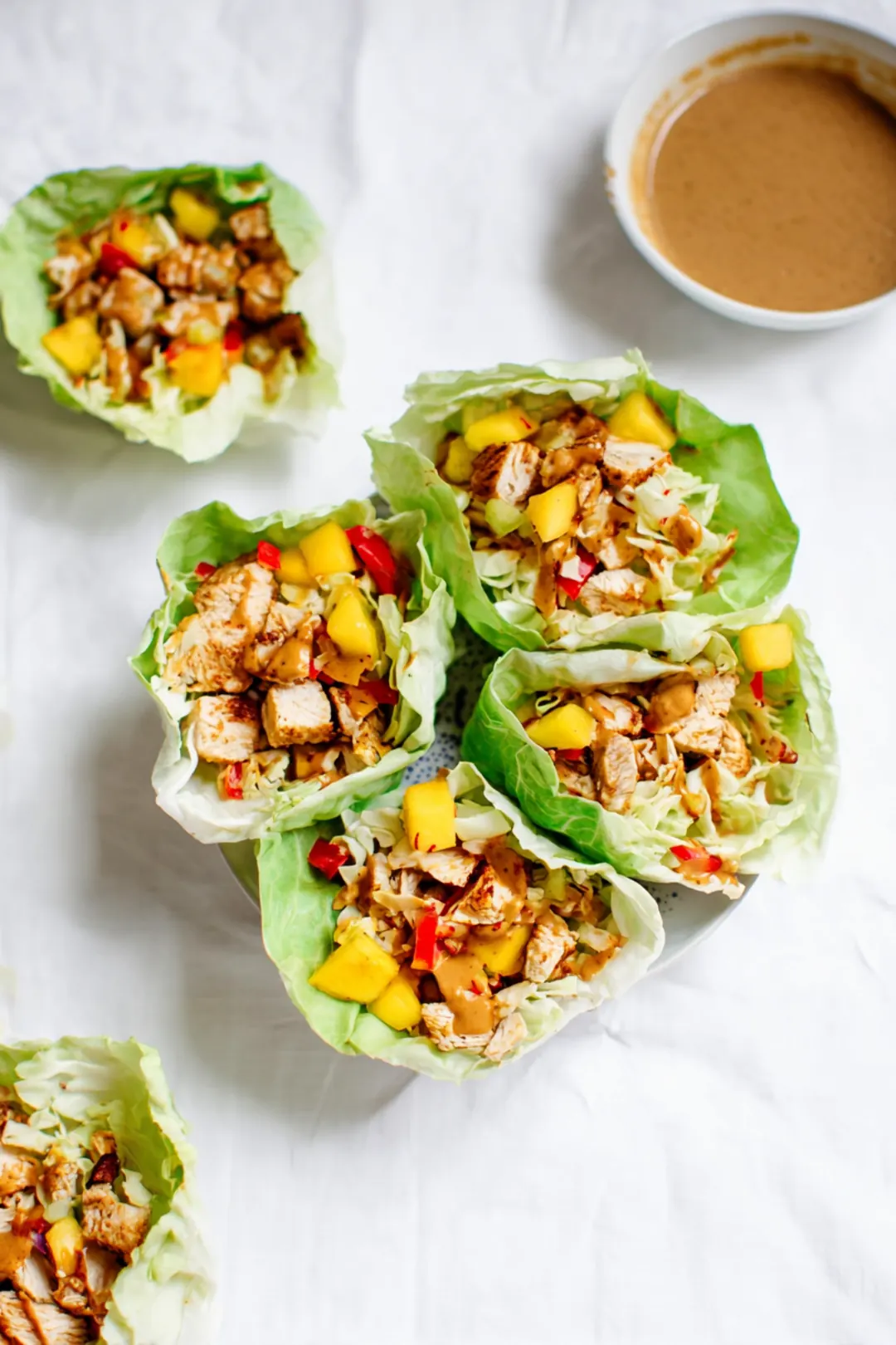 Crunchy Cabbage Taco Wraps