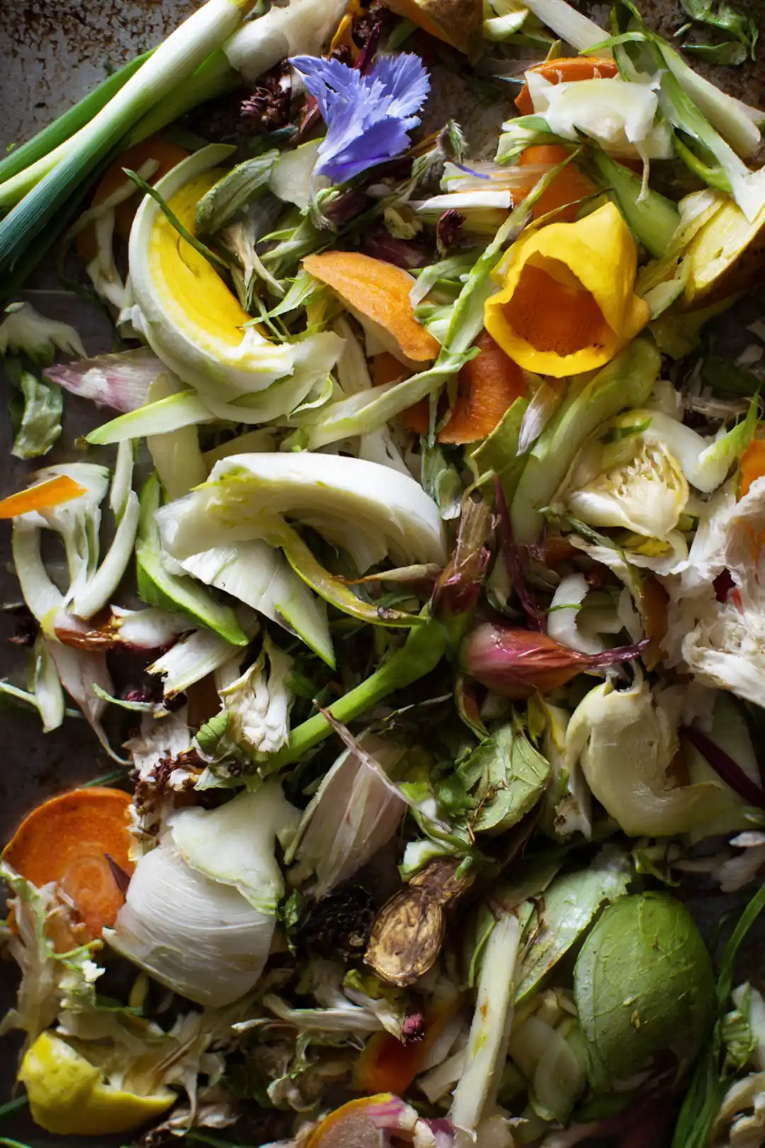 Gather all your vegetable scraps and wash them thoroughly.