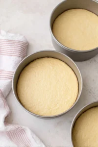 Pour batter evenly into the prepared cake pans and bake for 25 to 30 minutes