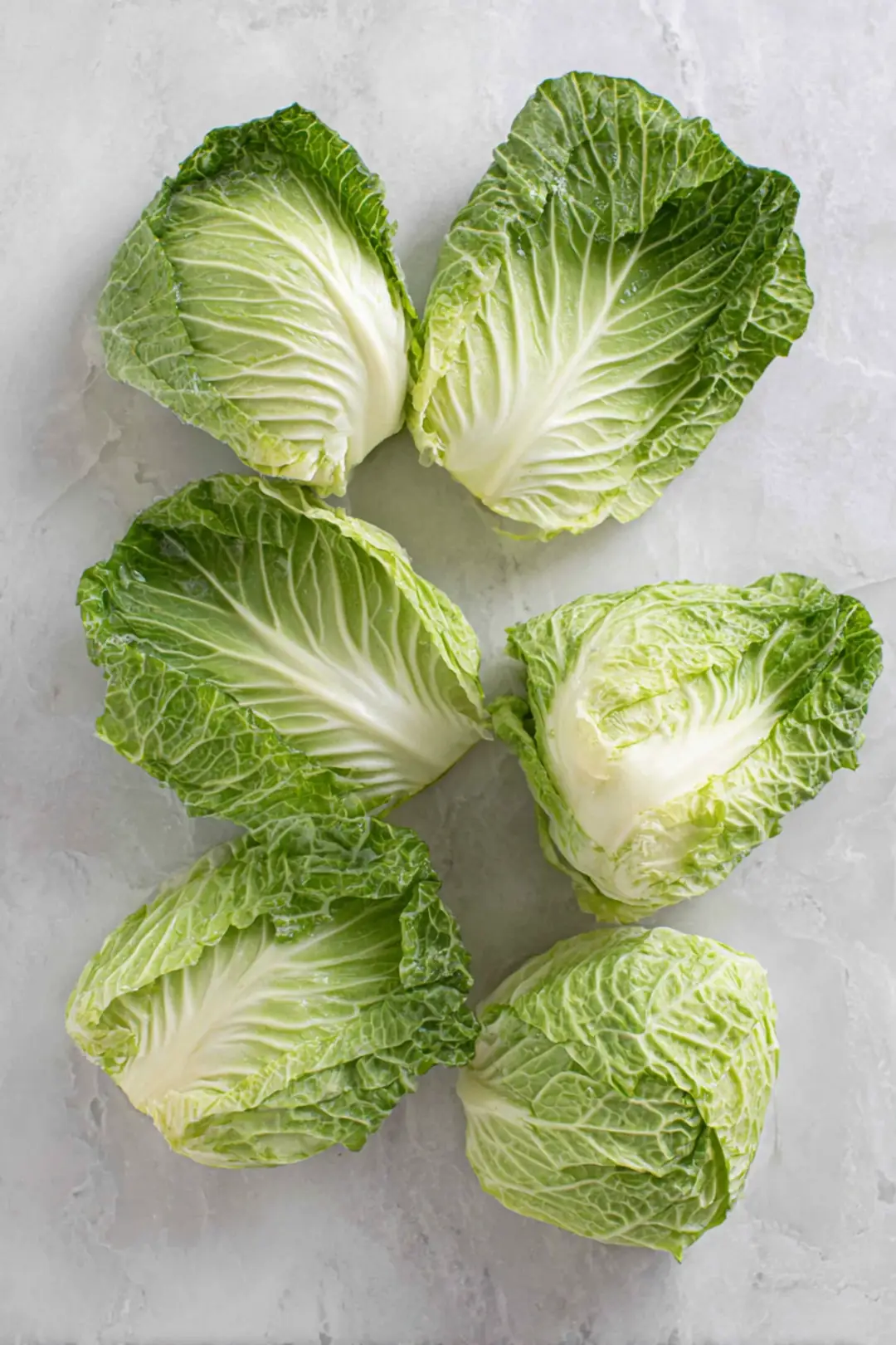 Prepare cabbage leaves by blanching them