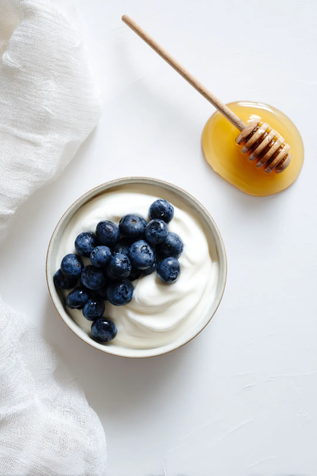 Blueberry yogurt recipe ingredients