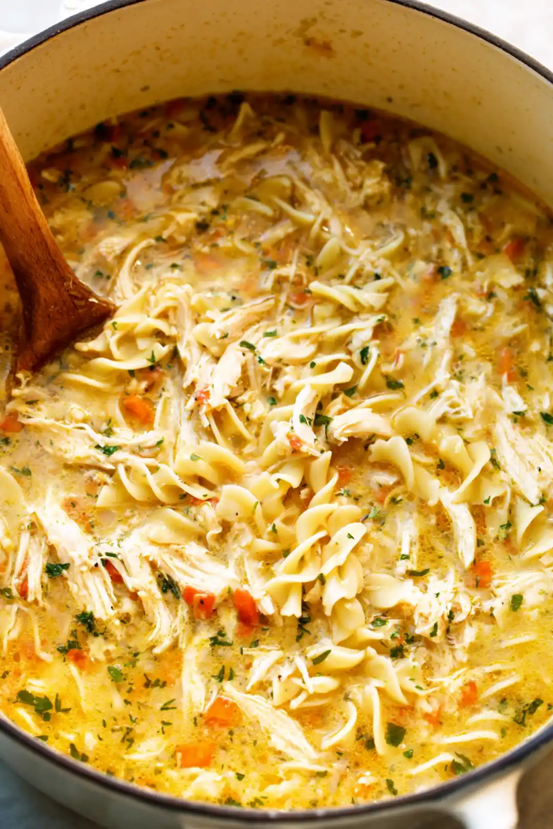 Stir in the shredded chicken, chicken broth, and broken lasagna noodles and simmer until tender